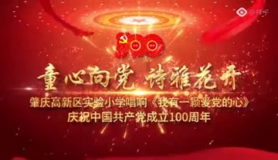 小猪仔要回家